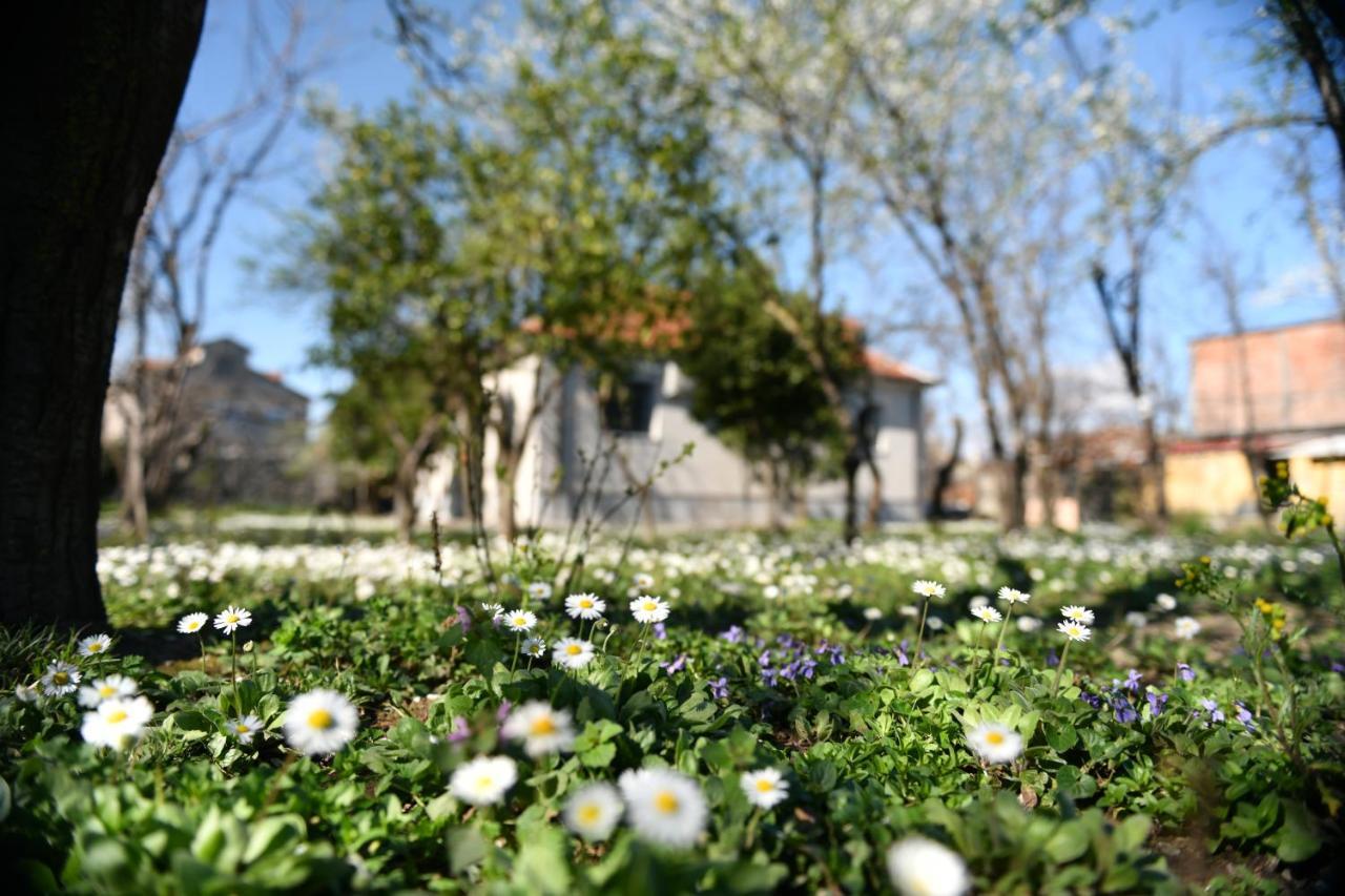 Nicolaus Hidden Gem Villa Shkoder Bagian luar foto