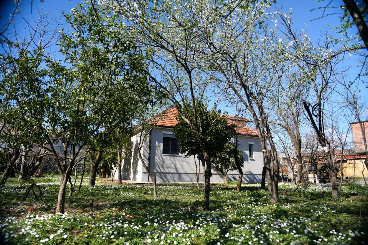 Nicolaus Hidden Gem Villa Shkoder Bagian luar foto