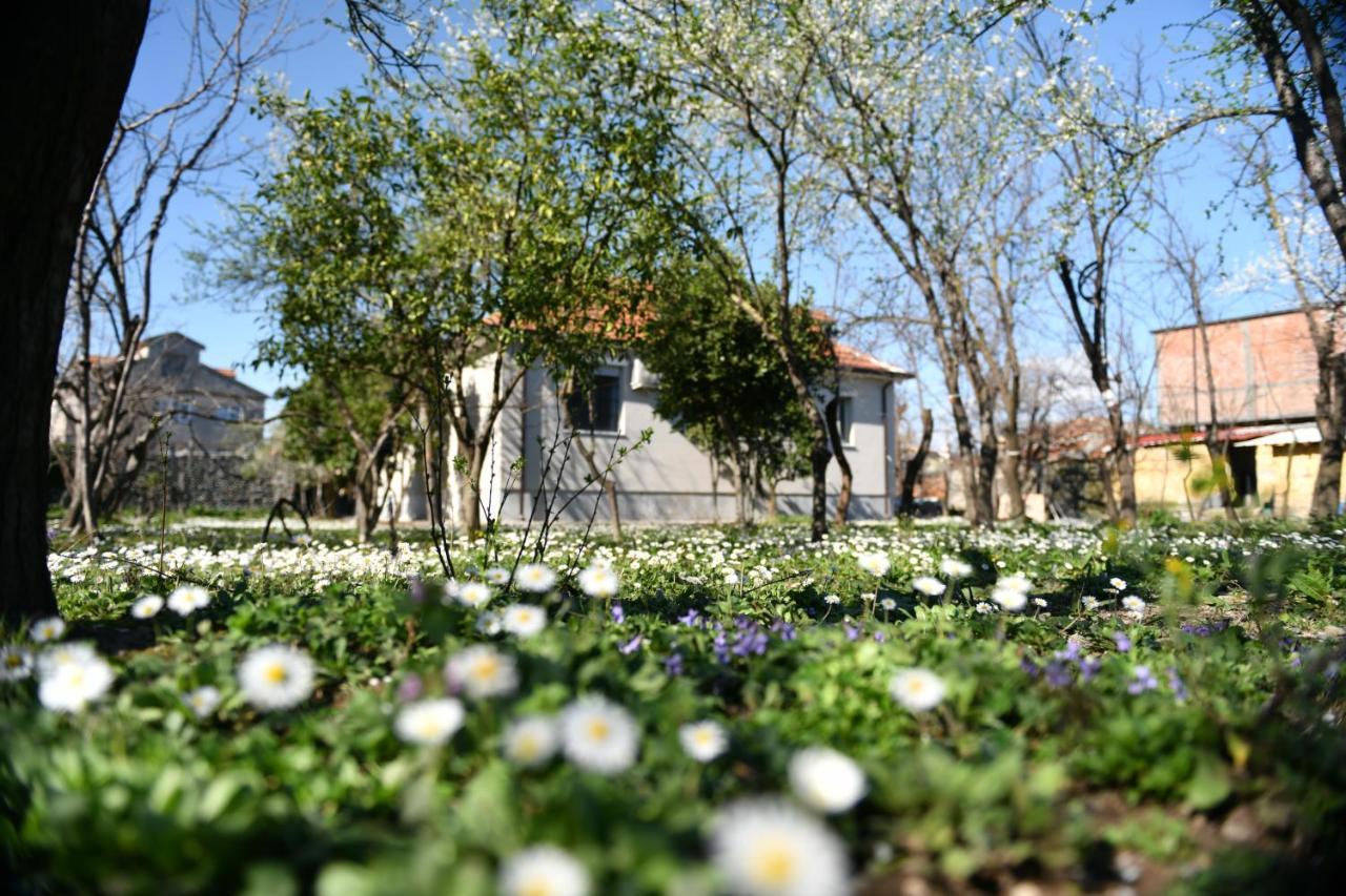 Nicolaus Hidden Gem Villa Shkoder Bagian luar foto