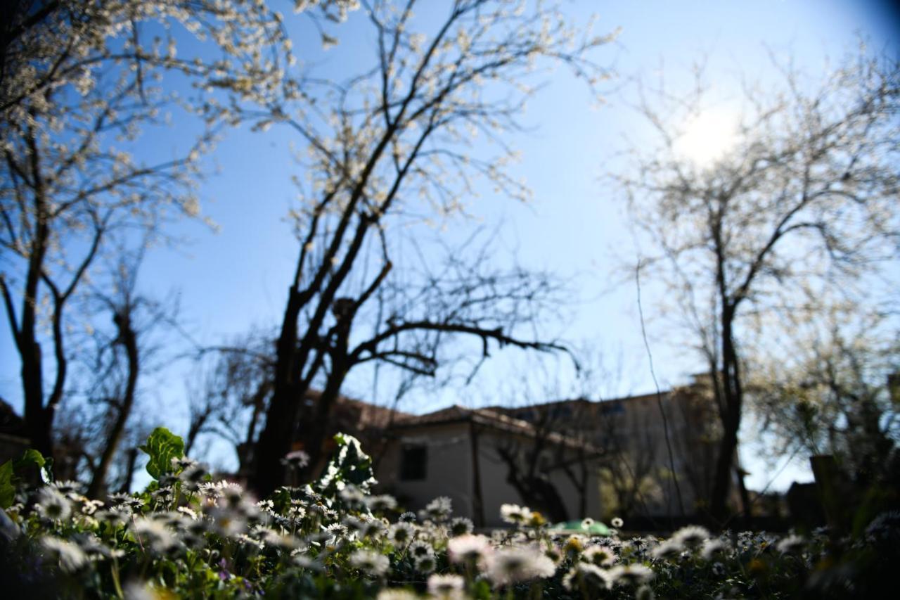 Nicolaus Hidden Gem Villa Shkoder Bagian luar foto