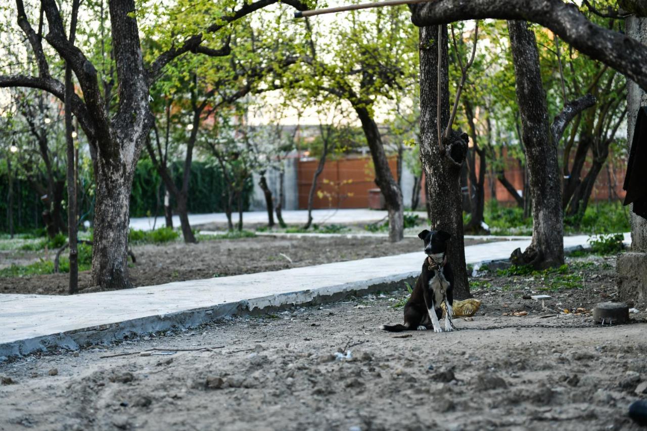 Nicolaus Hidden Gem Villa Shkoder Bagian luar foto