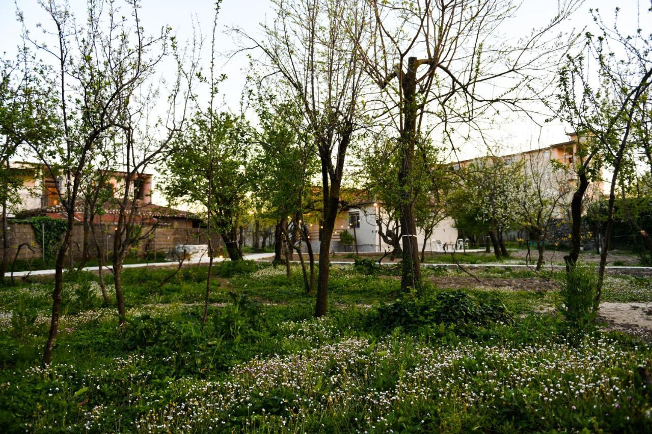 Nicolaus Hidden Gem Villa Shkoder Bagian luar foto