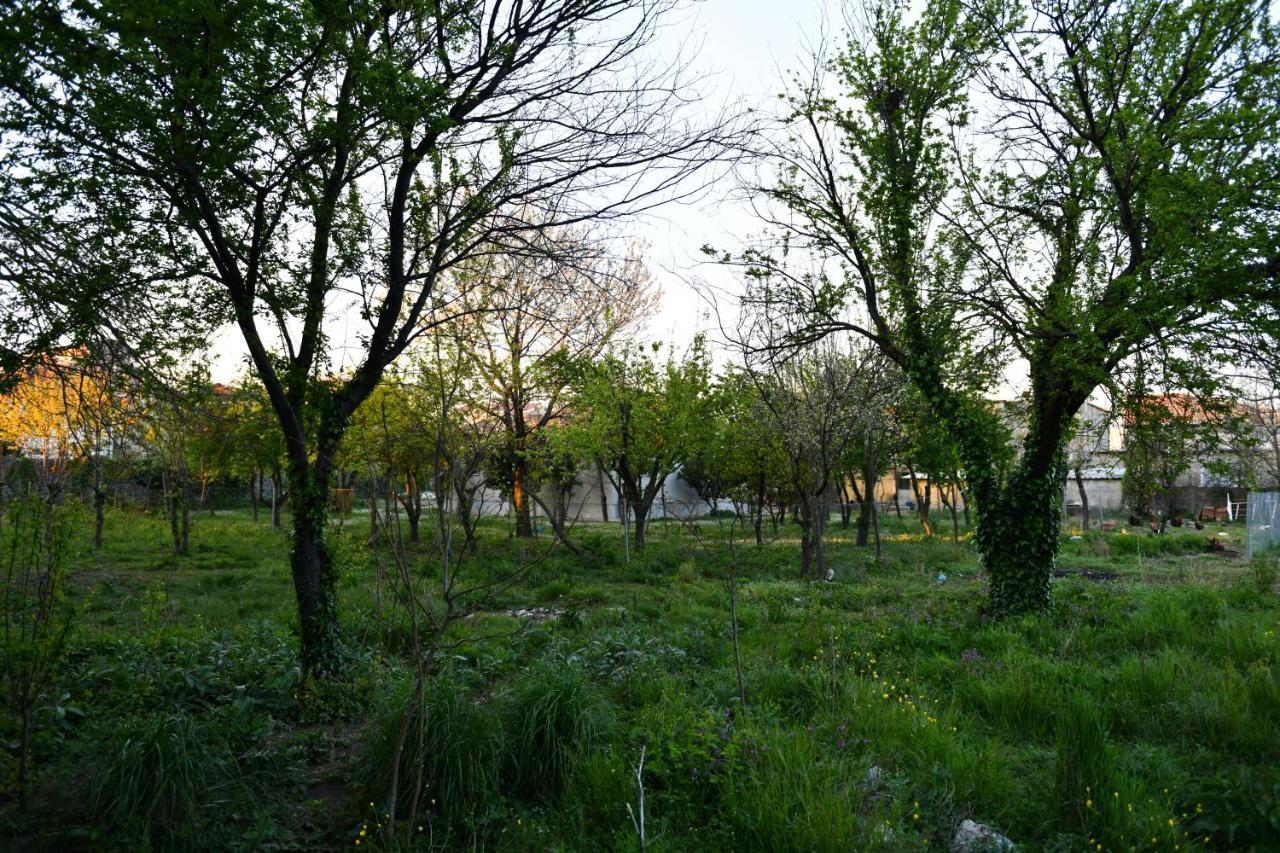 Nicolaus Hidden Gem Villa Shkoder Bagian luar foto