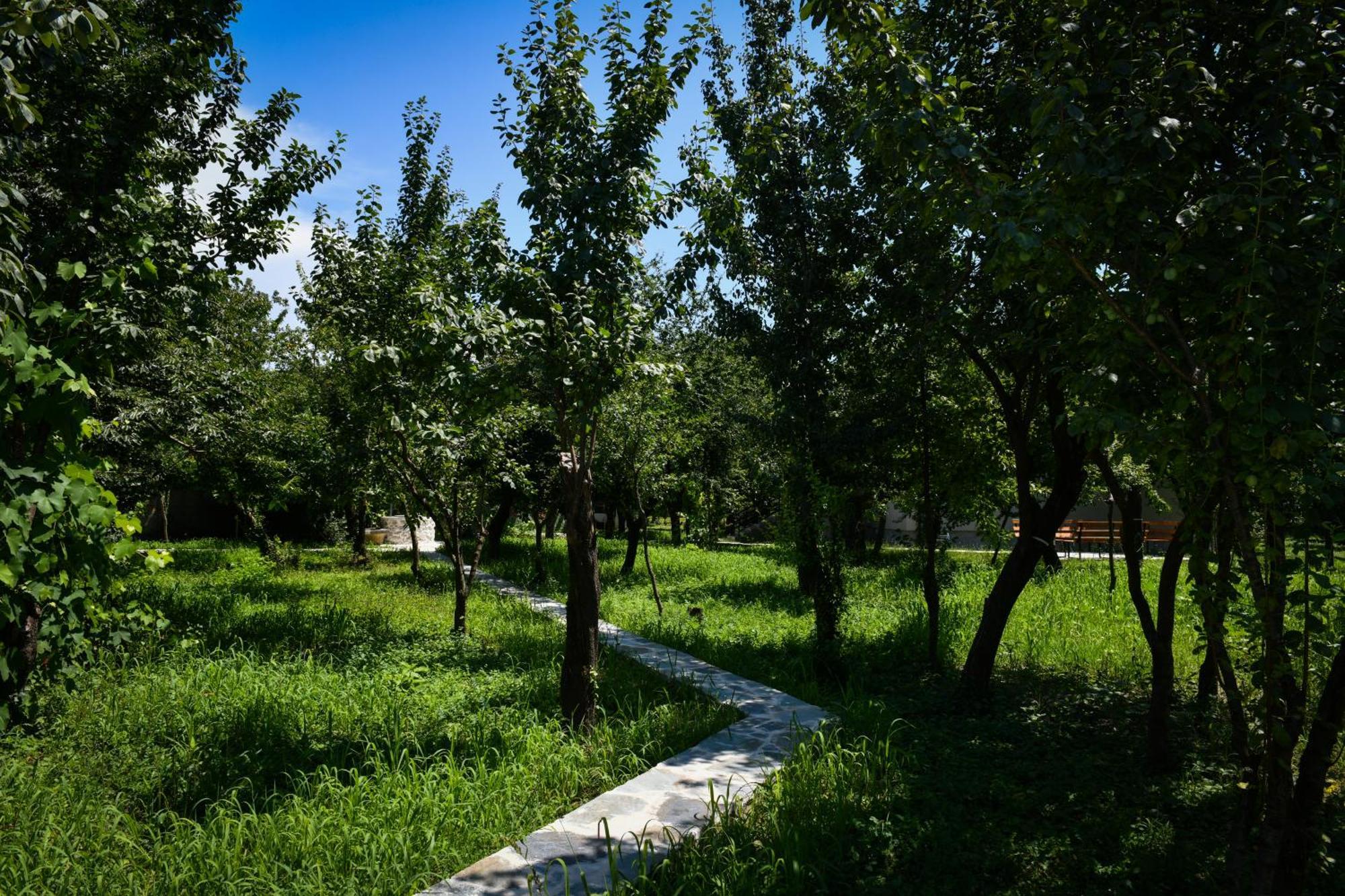 Nicolaus Hidden Gem Villa Shkoder Bagian luar foto