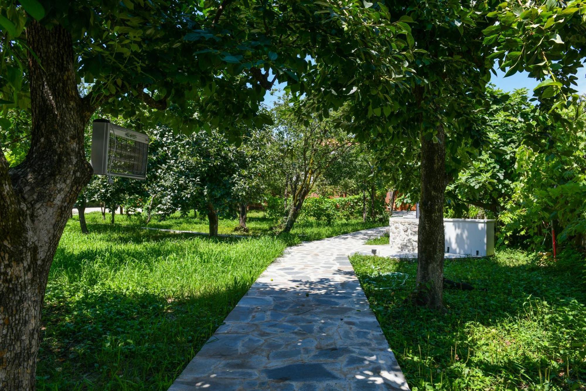 Nicolaus Hidden Gem Villa Shkoder Bagian luar foto